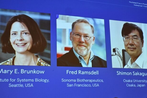 nobel prize in medicine awarded to scientists for immune system research 68e393f5d3723