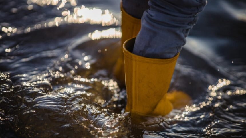 nu vine potopul specialistii explica de ce ploaia din aceste zile nu e un dezastru ci o necesitate 68e571e27250f