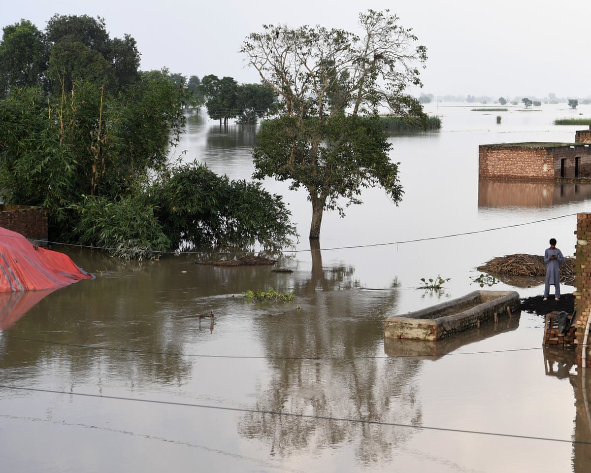 pakistani farmers to sue german polluters over climate linked flood damage 6900c4c912f01