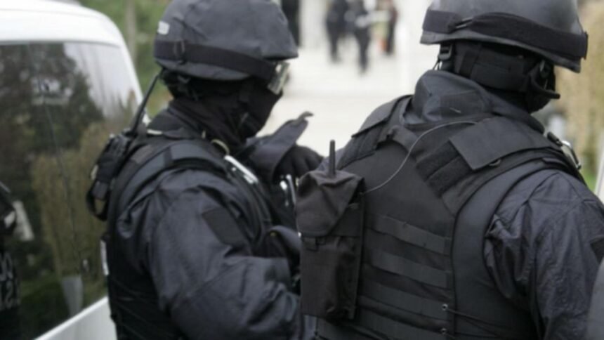 perchezitii de amploare in bucuresti si noua judete din tara intr un mega dosar ce vizeaza falsificarea de documente 68e75811a4cf7