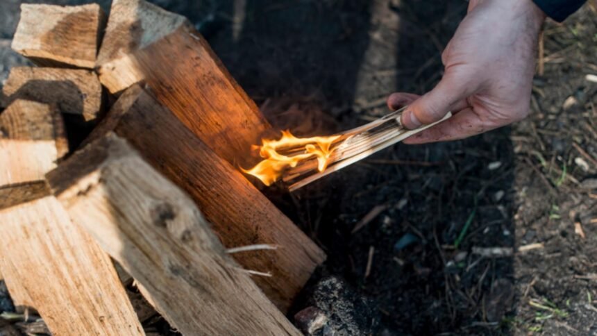 preturile la lemnul de foc in 2025 cu cat da romsilva metru cub 68dd0c9444188