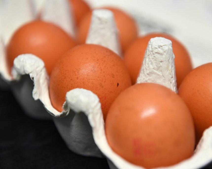 warnings of imports of caged hen eggs as ukraine and poland become uks biggest suppliers 68e0aa96b30c6