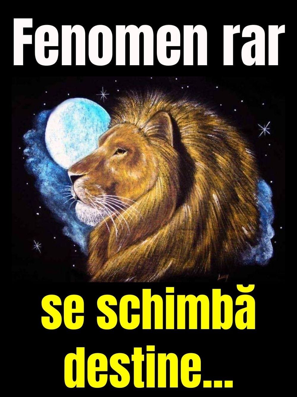 584126237 1433782851445929 2222952716090409887 n