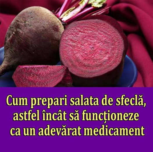 587381409 701142896404308 3492457821978973747 n