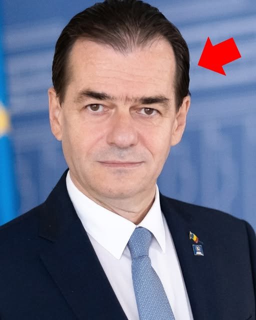 592203522 851760660942327 8249751539422604459 n