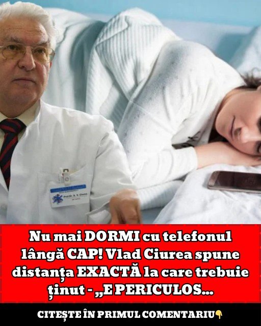 592222844 701858649666066 3862067601136946347 n