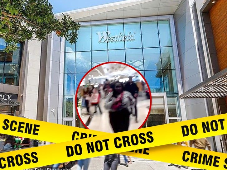 gunman shoots 3 people inside california mall video shows aftermath 692af14bcf888