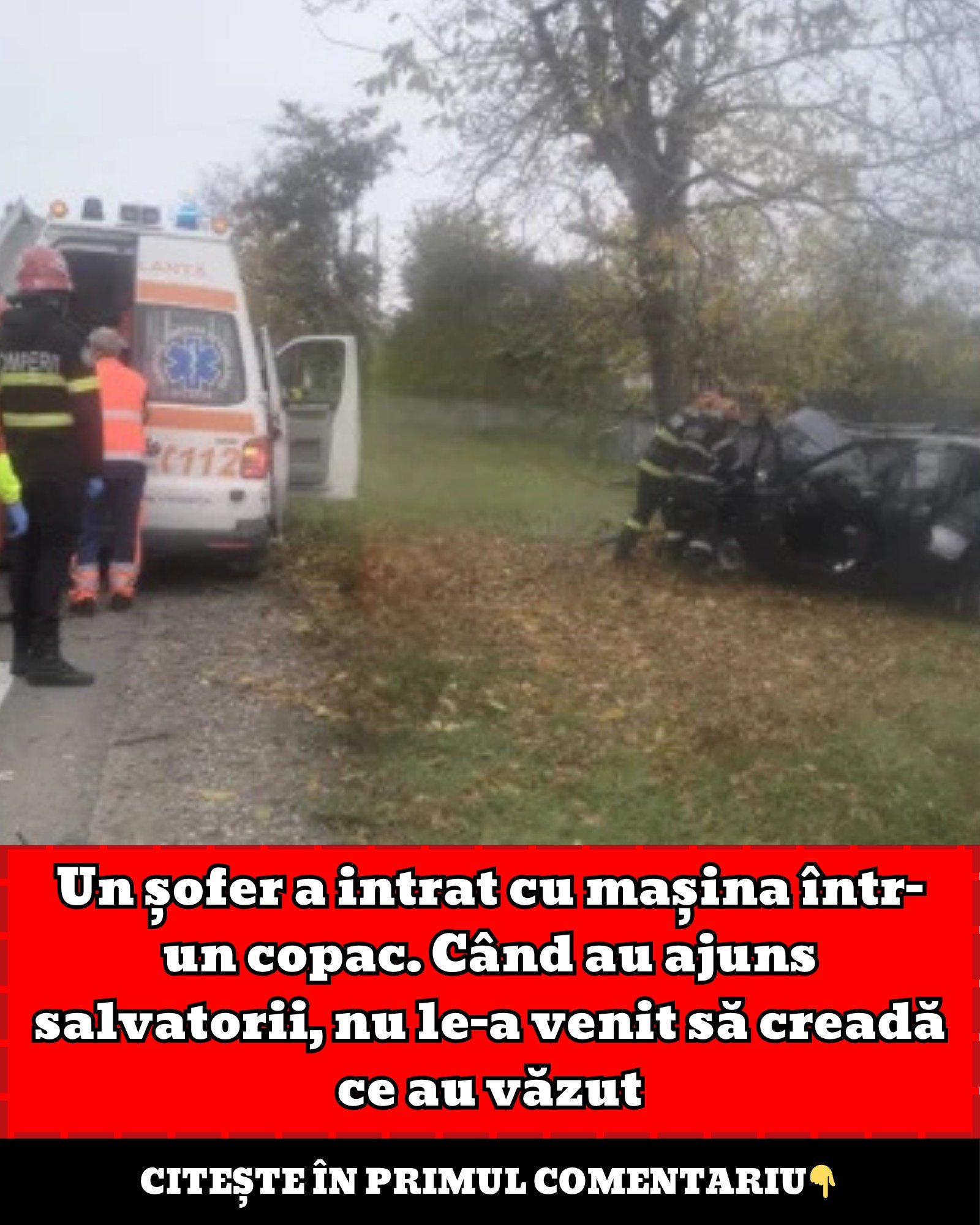 574335161 122142066776655288 8849137332546976954 n