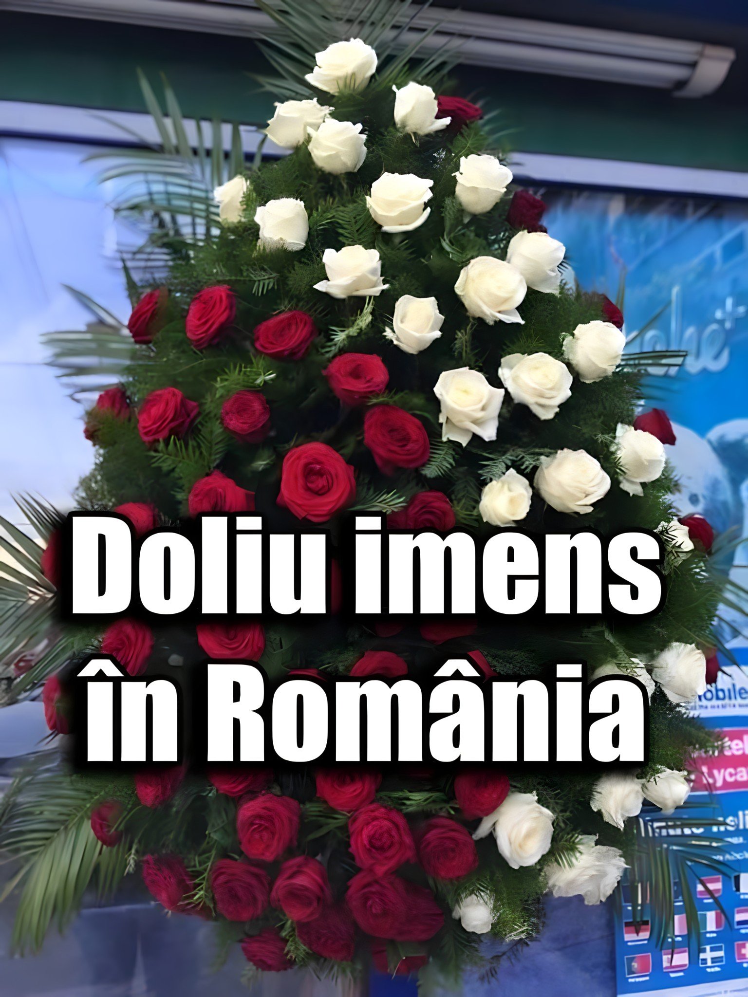 582359004 122143608554655288 2865312615522961887 n