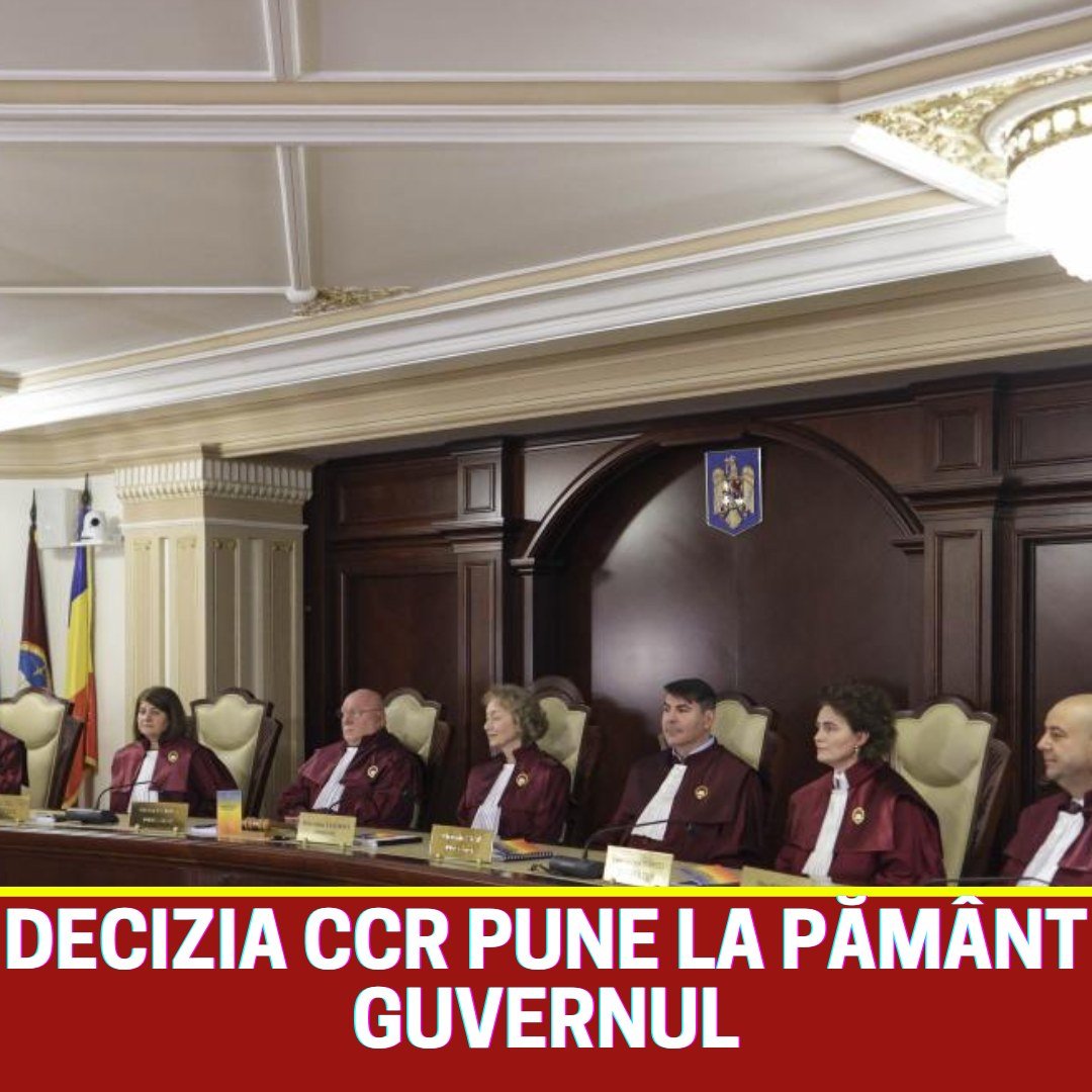 586646358 1435011957989685 1600135253826083253 n