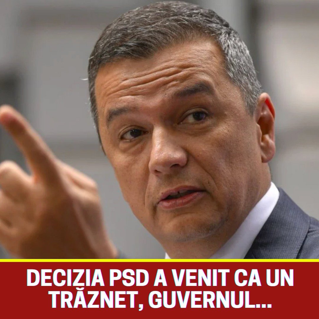 591821502 1445499690274245 7076294619438444260 n