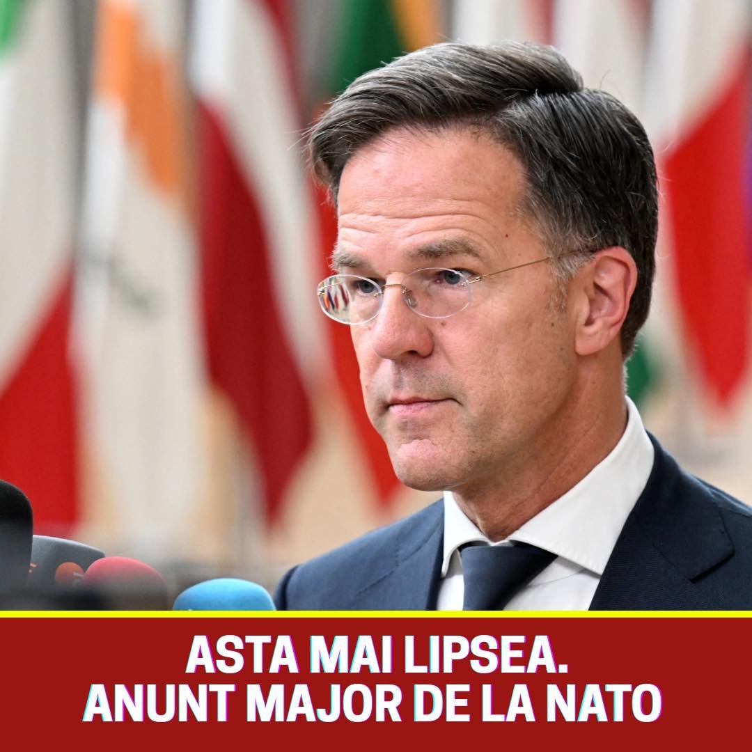 592957259 1445132103644337 6925403427811570091 n