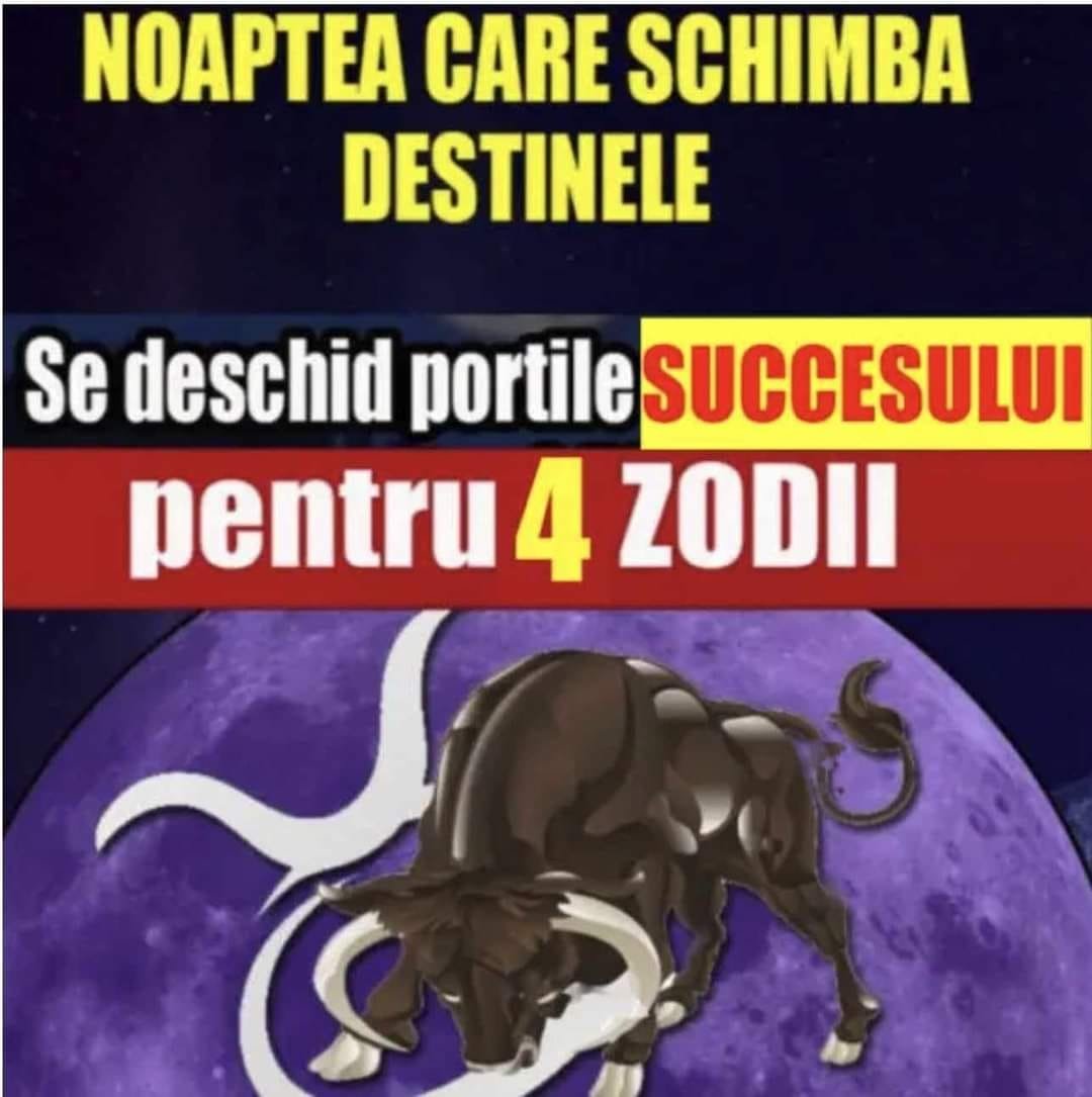 593618089 1444312213726326 2884700321072496481 n