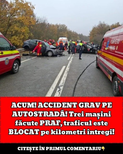 594327442 705378095980788 6501130799659780880 n