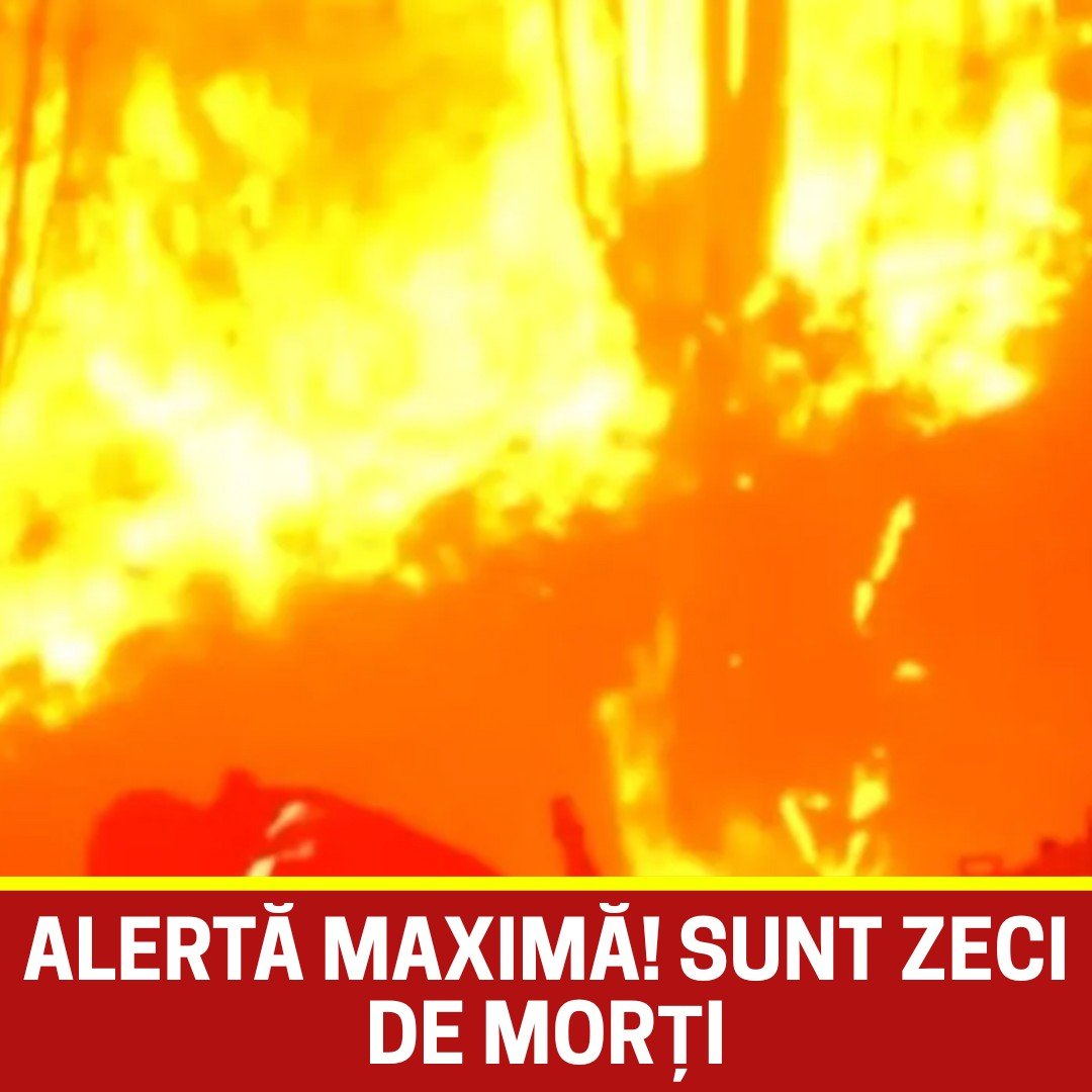 594961963 1446917280132486 3802456556328239805 n