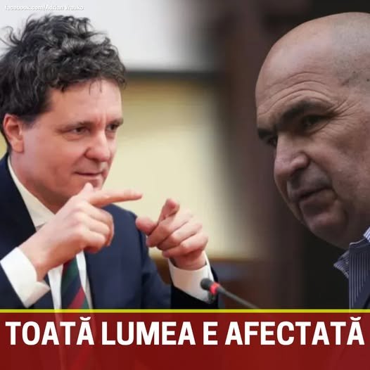 598511346 1450211923136355 7775588830953296087 n