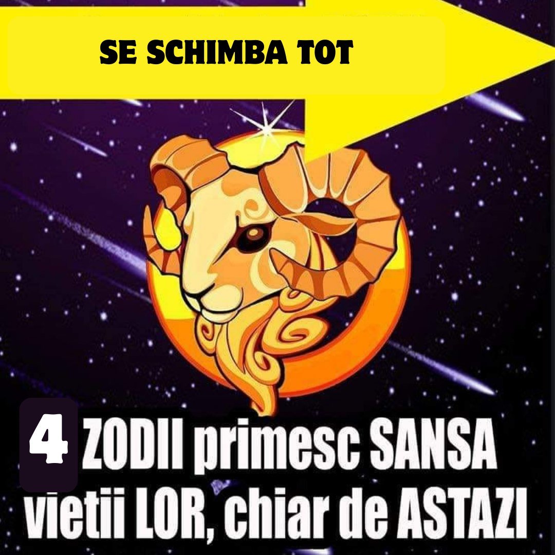 598970341 1450601919764022 107096113679839163 n