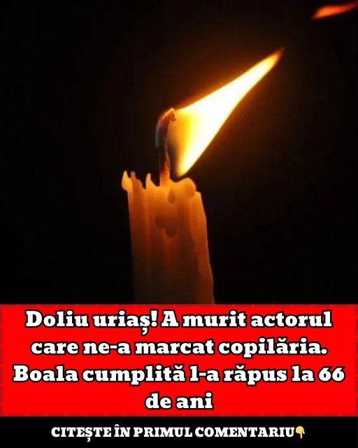 599474983 712397338612197 4238960524787207679 n